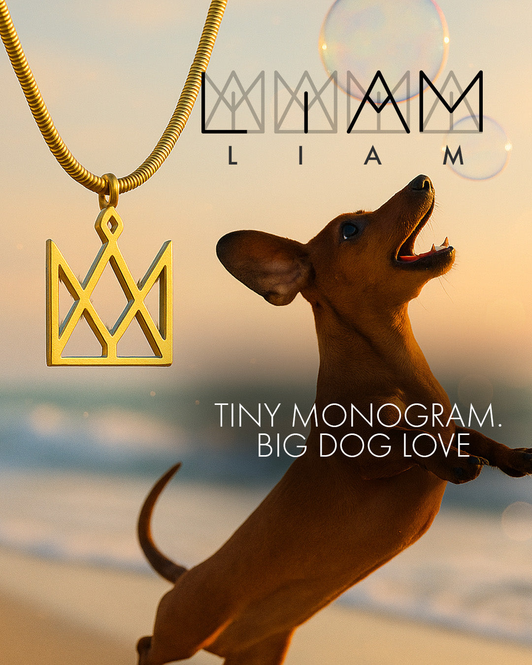 Custom Pet Name Pendant